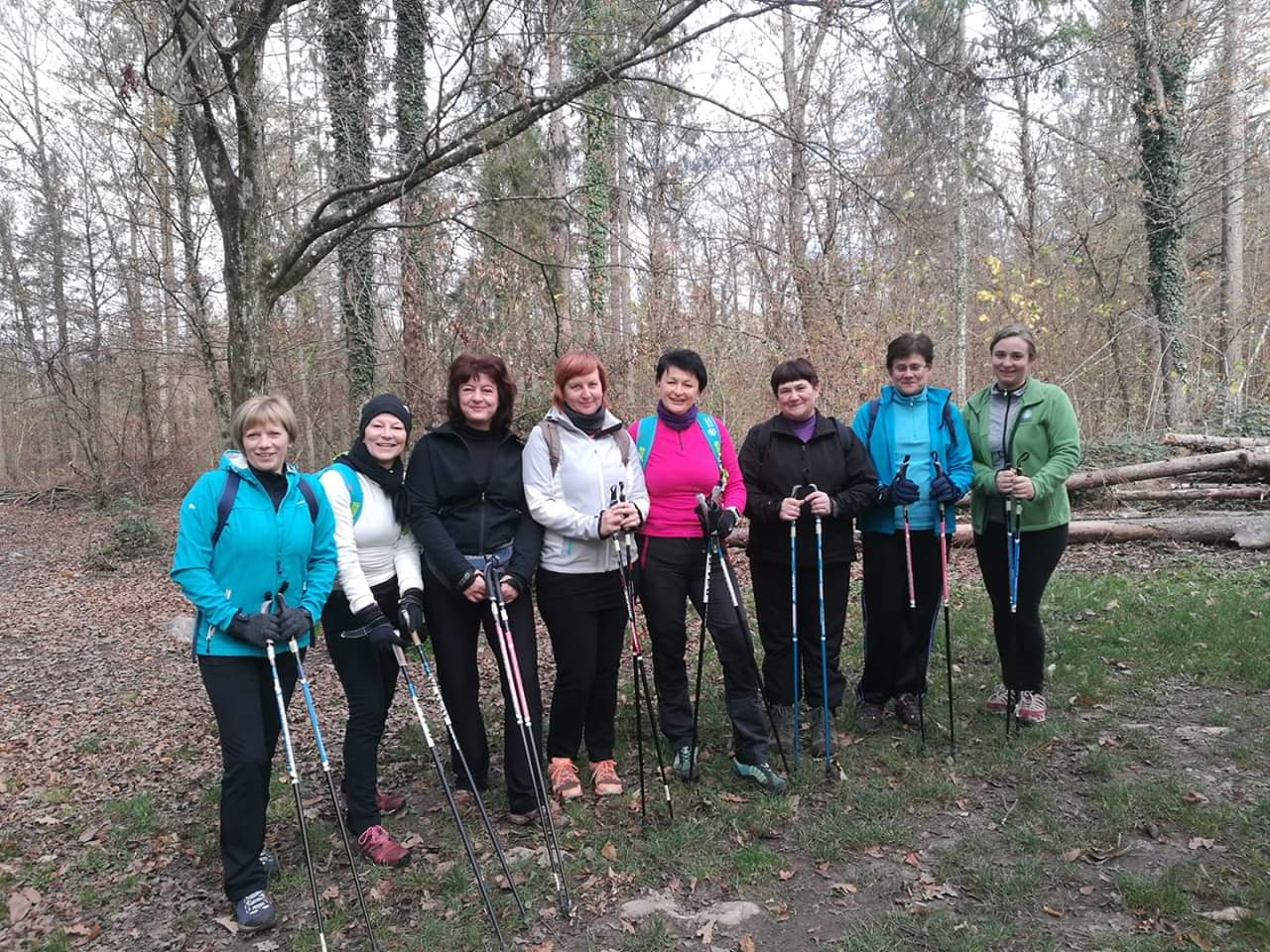 TEČAJ NORDIJSKE HOJE